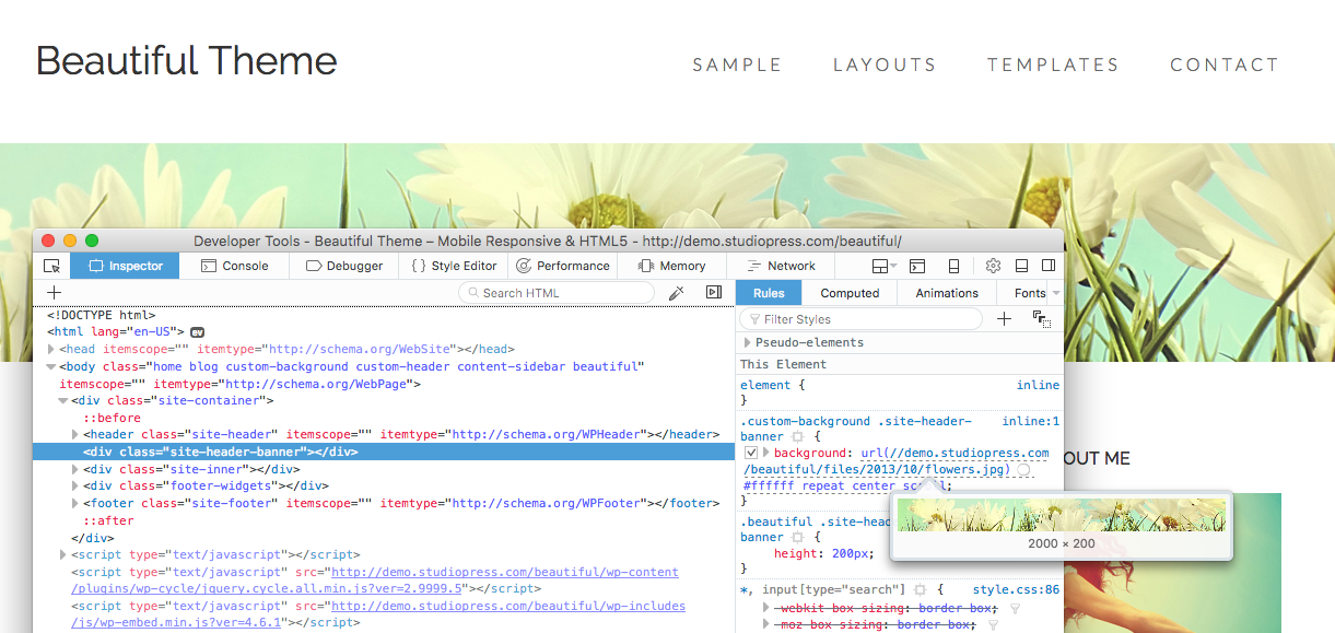 Inspecting Beautiful Pro header