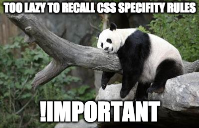 If pandas could code